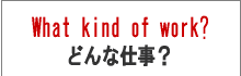 �ǂ�Ȏd���H